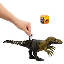 Jurassic World Dinosaur Toy Orkoraptor with Roar Sound & Attack Action, Wild Roar Posable Figure, Physical & Connected Digital Play