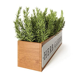 Barnyard Designs Farmhouse Herb Garden Planter Indoor Planter or Outdoor Apartment Window Planter Box, Windowsill Planter Box, Indoor Herb Planter for Indoor Plants, Window Herb Garden, 14.5x3.5