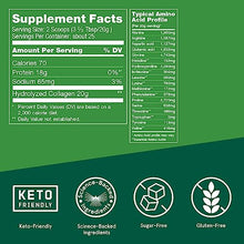 Bulletproof Collagen Protein Powder, Unflavored, Keto-Friendly, Paleo, Grass-fed Collagen, Amino Acid Building Blocks for High Performance (17.6 Ounce)